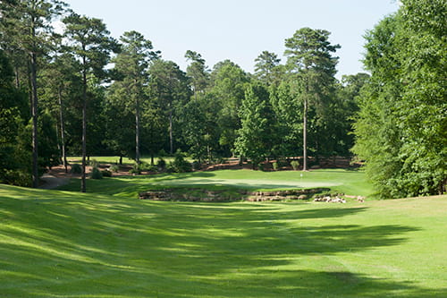a nice view of one of the many holes at dancing rabbit gold course.